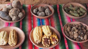 Lezioni di cucina Perù