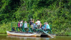 Riserva di Tambopata Perù lontre